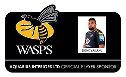 Wasps Logo