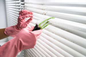 Person Cleaning Window Blinds